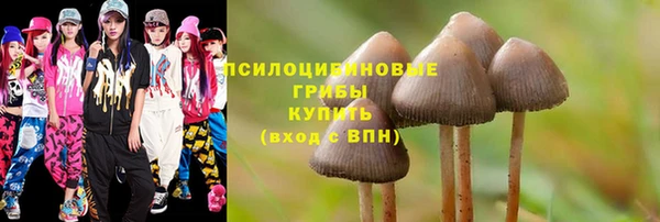 a pvp Киреевск