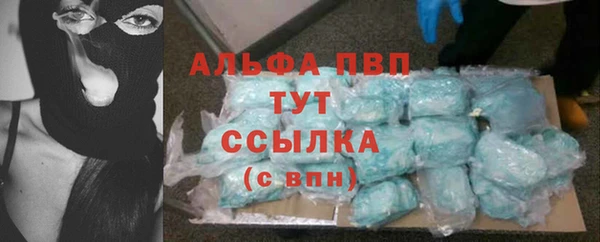 гидра Кинешма