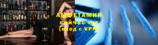 твердый Карпинск