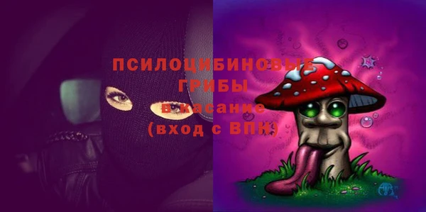 гидра Кинешма