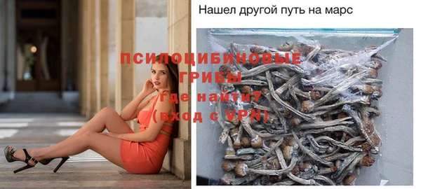 a pvp Киреевск