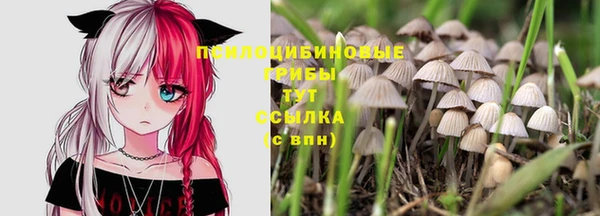 a pvp Киреевск