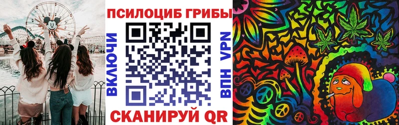 Псилоцибиновые грибы Magic Shrooms  OMG ONION  Козловка 